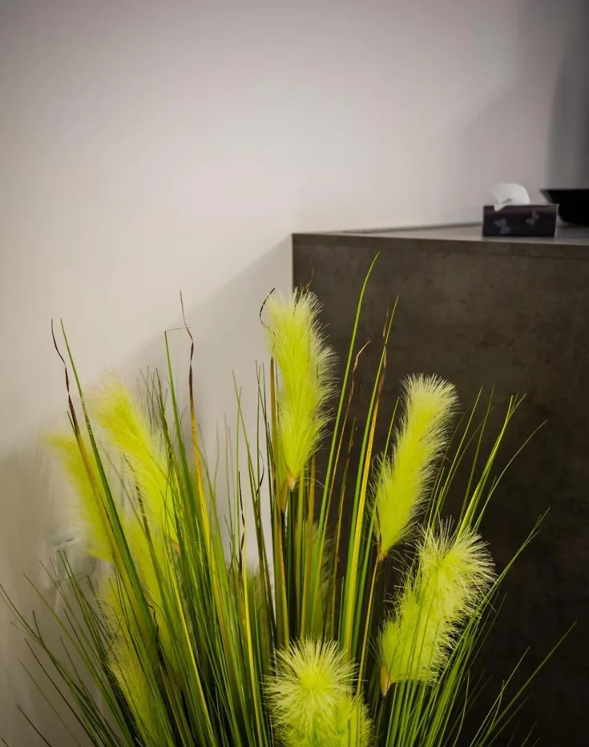 Apartament Rakowicka 15 Old Town Deluxe Wawelofts Apartment Krakow